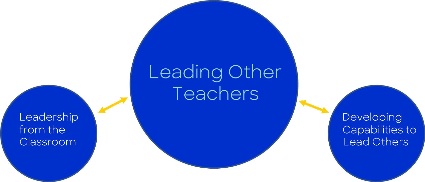 Developing Teacher Leaders – Improving Practice Together